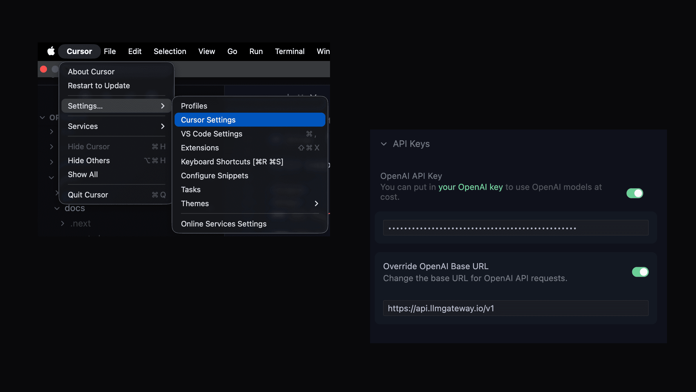 Cursor Settings