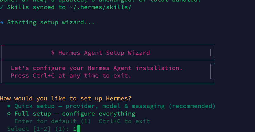 Hermes Agent Setup Wizard