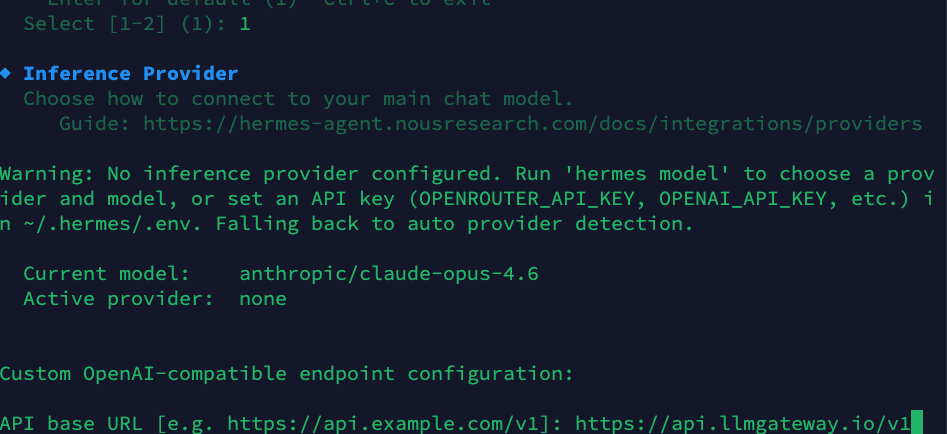 Inference Provider Configuration